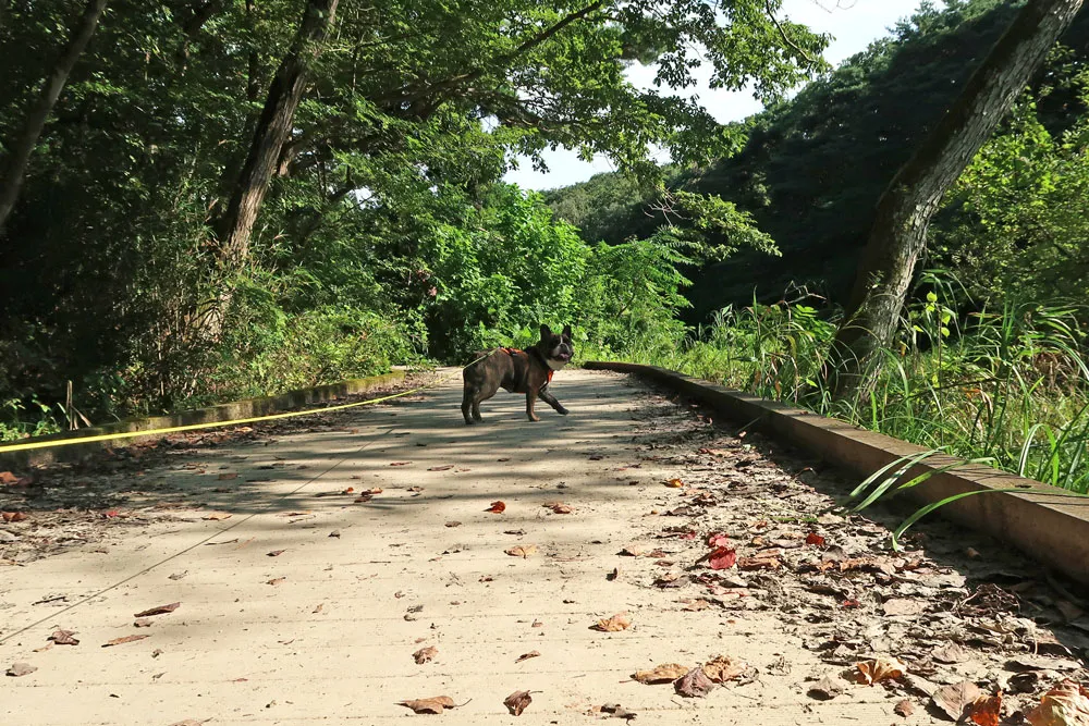 与兵衛沼公園散歩