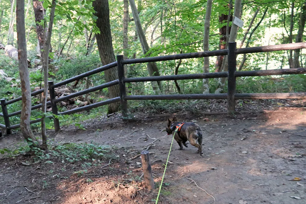 与兵衛沼公園散歩