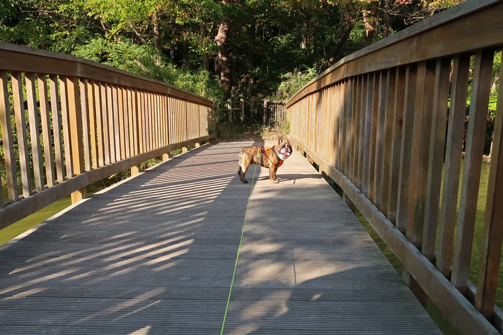 与兵衛沼公園散歩