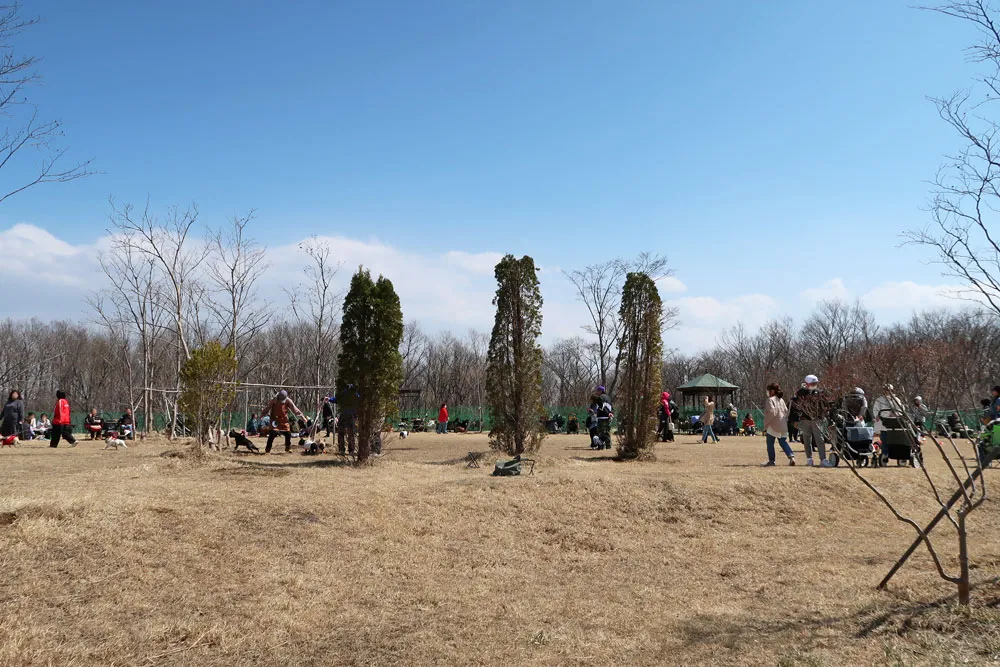 宮城ブヒ会　ブヒブヒ運動会