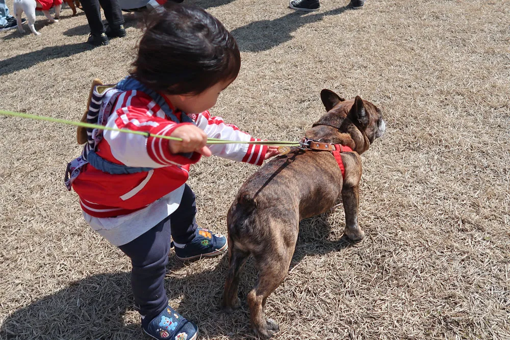 宮城ブヒ会　ブヒブヒ運動会