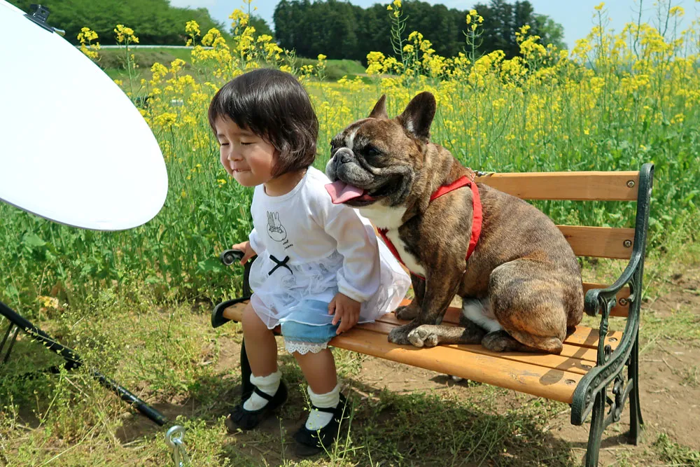 わんちゃんといっしょふぉと 菜の花撮影会