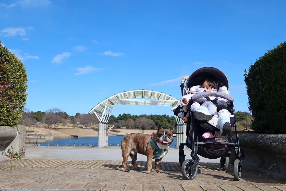 国営ひたち海浜公園でお散歩