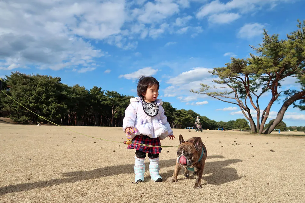 国営ひたち海浜公園でお散歩