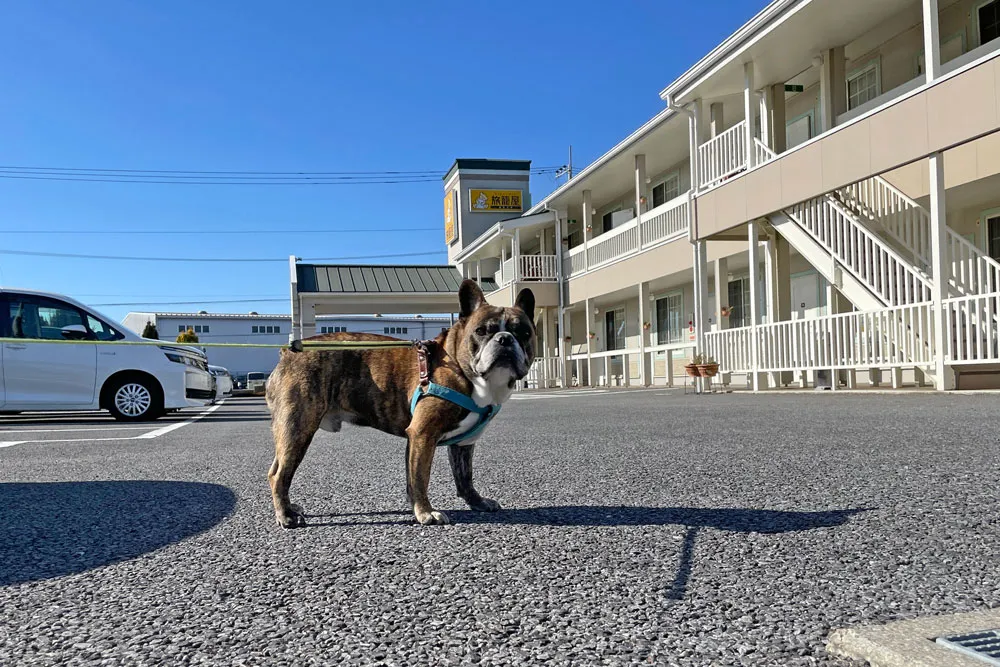 ファミリーロッジ旅籠屋 つくば店