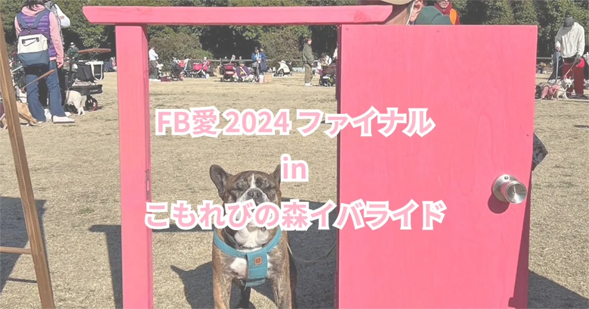 FB愛 2024 ファイナル