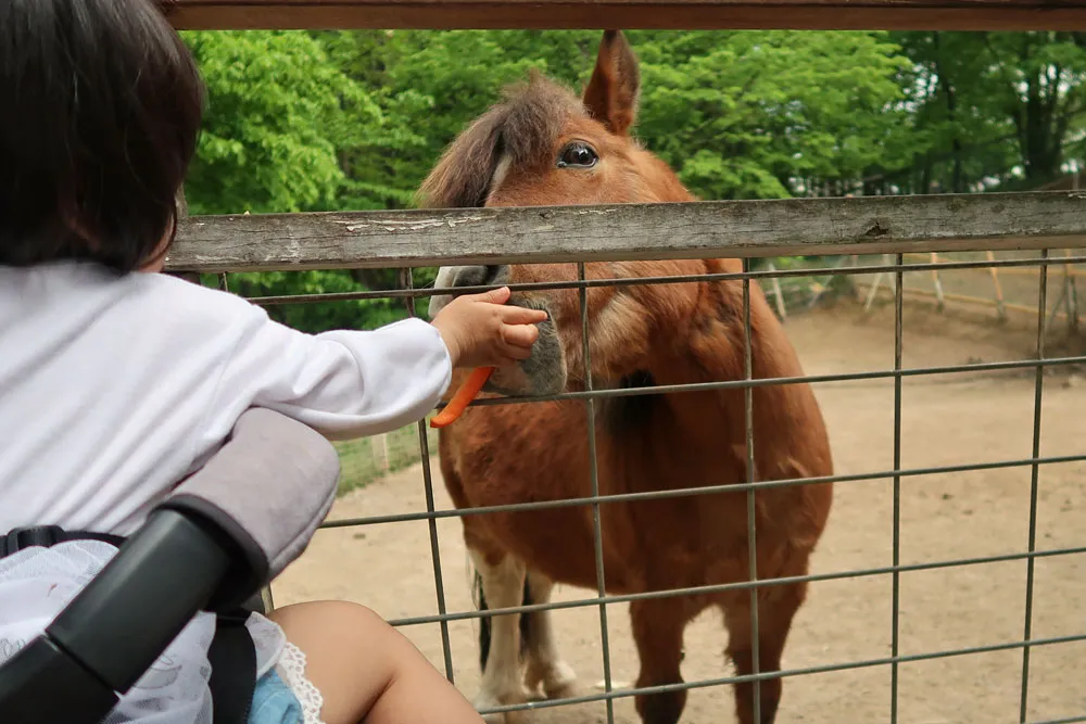 とんとんの丘 もちぶた館