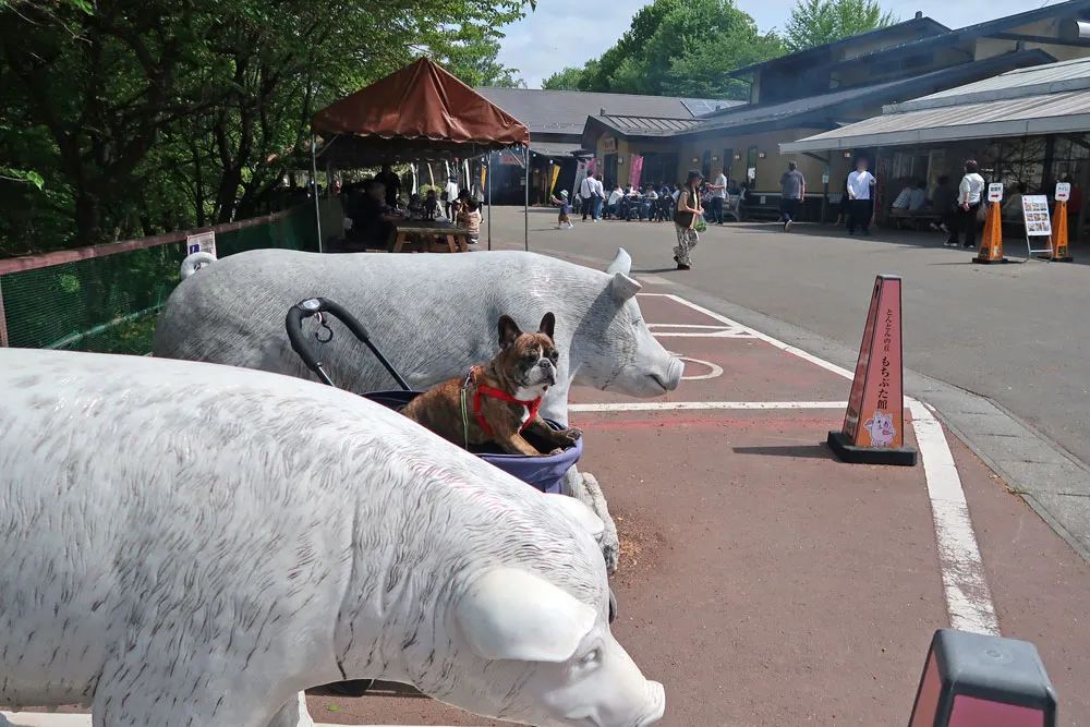 とんとんの丘 もちぶた館