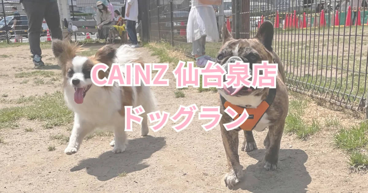 CAINZ 仙台泉店 ドッグラン