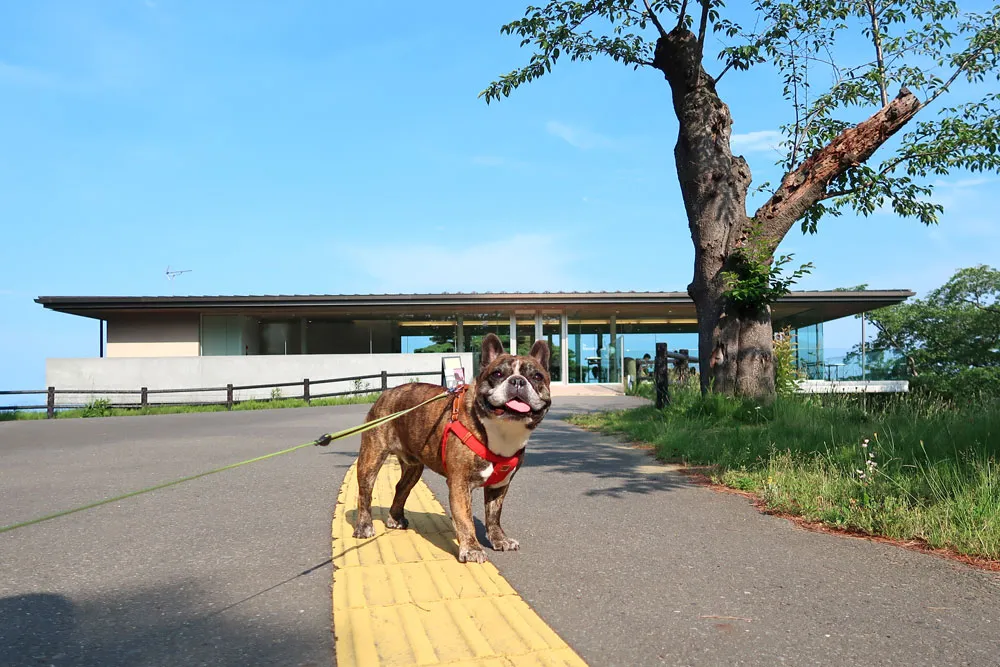 西行戻しの松公園でお散歩