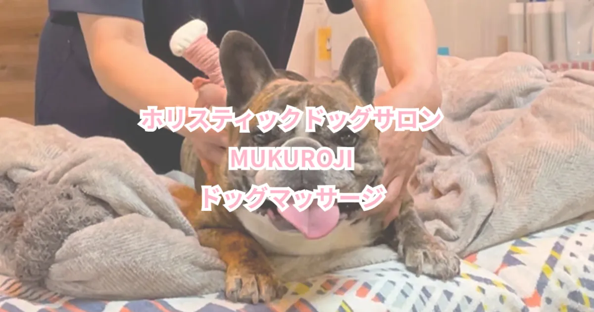 ホリスティックドッグケアサロン MUKUROJI