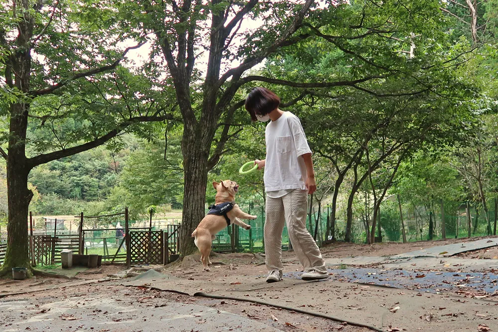 里山ドッグラン サムのぶぶくん