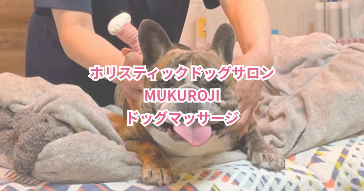 ホリスティックドッグケアサロン MUKUROJI