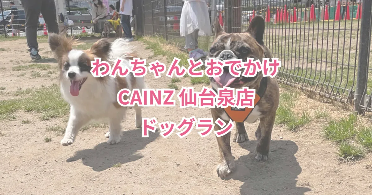 CAINZ 仙台泉店 ドッグラン