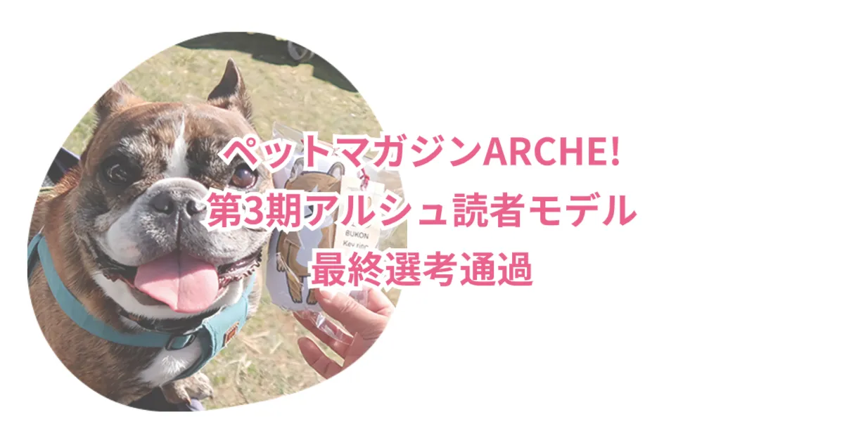 ペットマガジンARCHE!