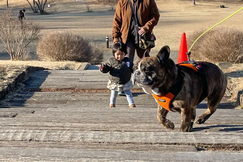 水の森公園キャンプ場の二人