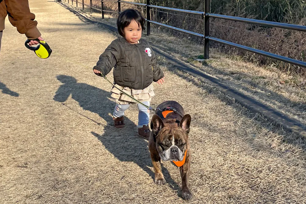 水の森公園キャンプ場のとらじろう