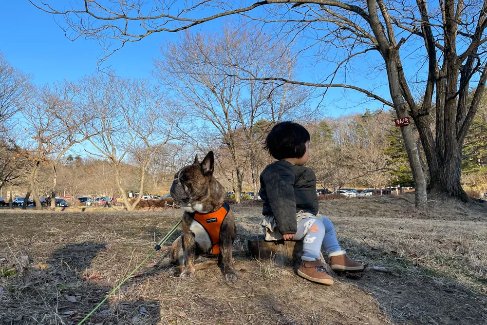 水の森公園キャンプ場の二人