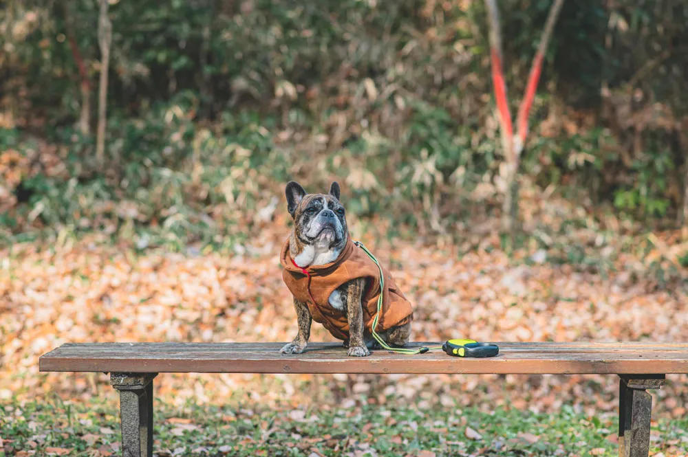 BUHI SNAP in SENDAI 台原森林公園