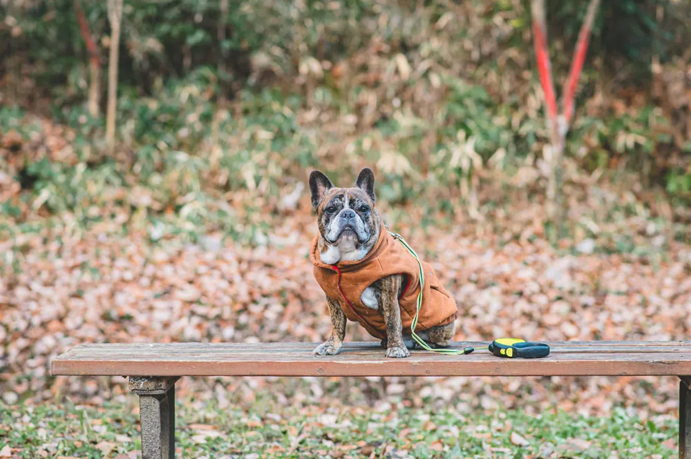 BUHI SNAP in SENDAI 台原森林公園