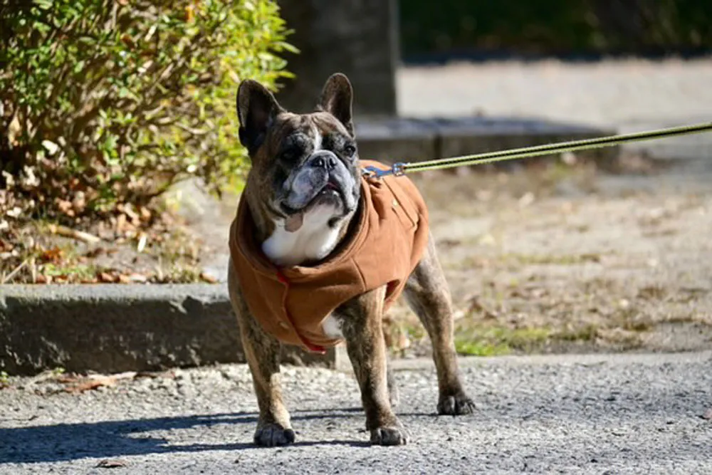 BUHI SNAP in SENDAI 台原森林公園