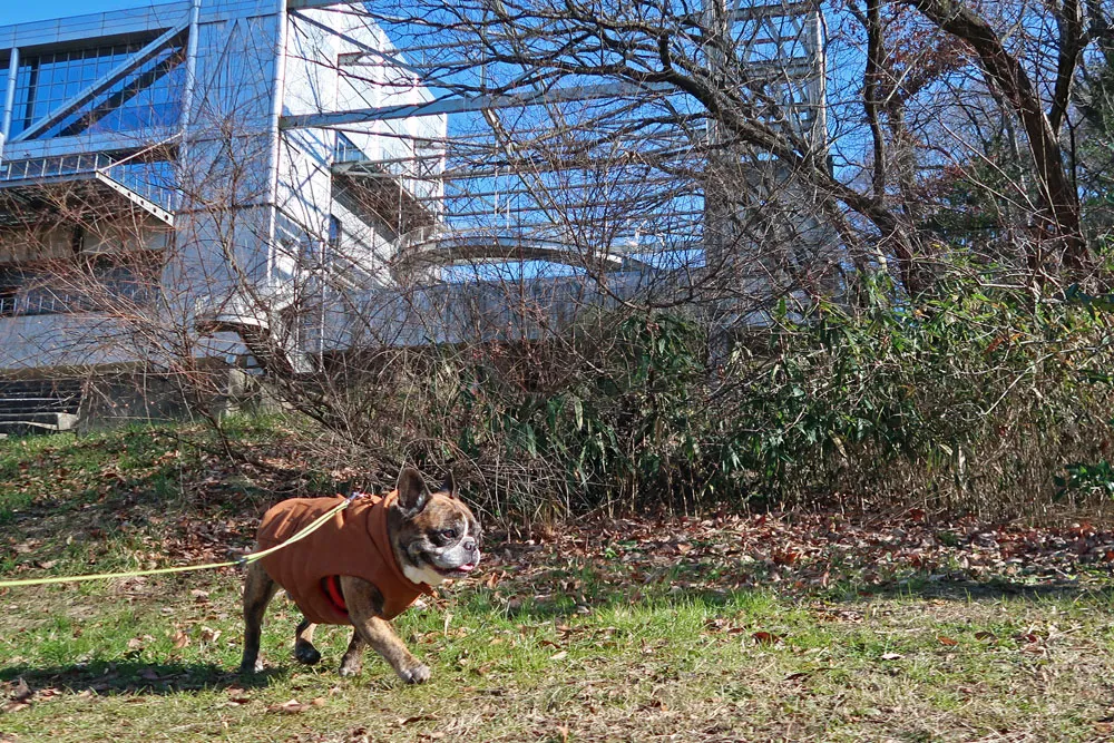 BUHI SNAP in SENDAI 台原森林公園