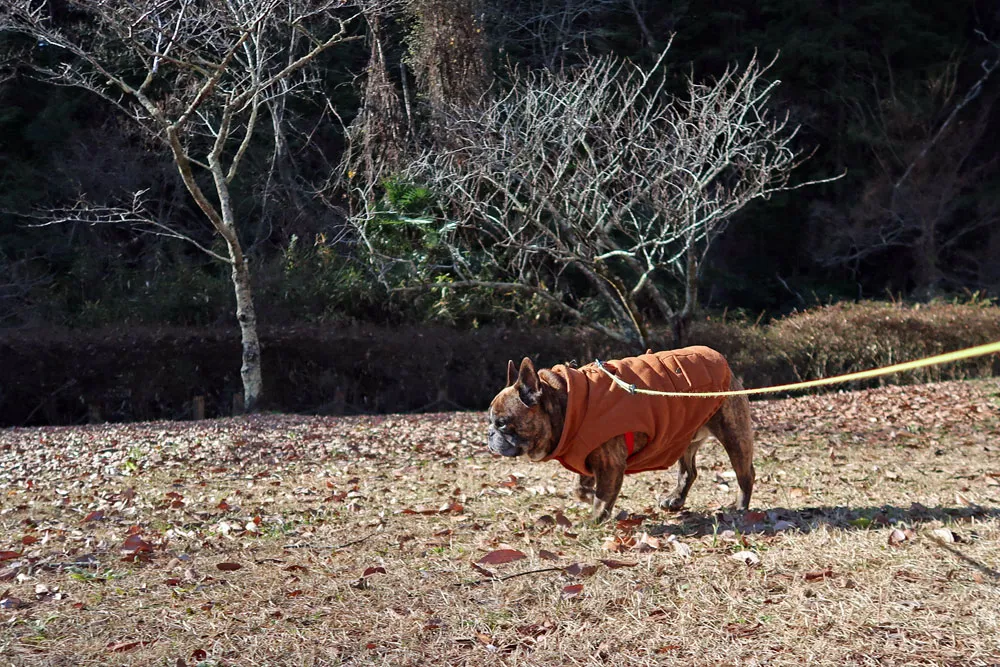 BUHI SNAP in SENDAI 台原森林公園