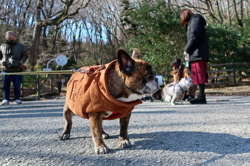 BUHI SNAP in SENDAI 台原森林公園