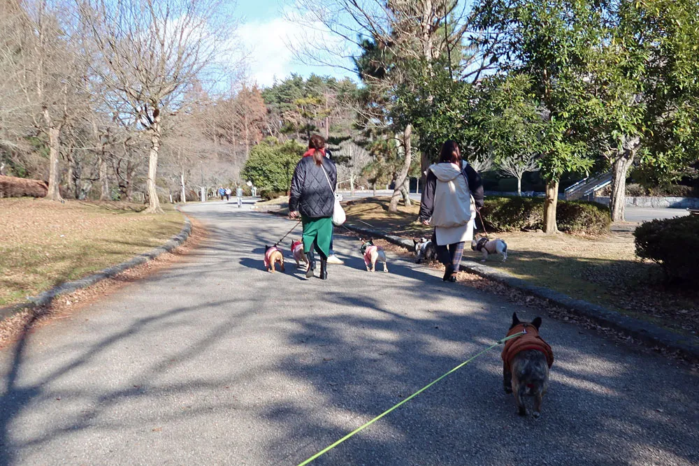 BUHI SNAP in SENDAI 台原森林公園