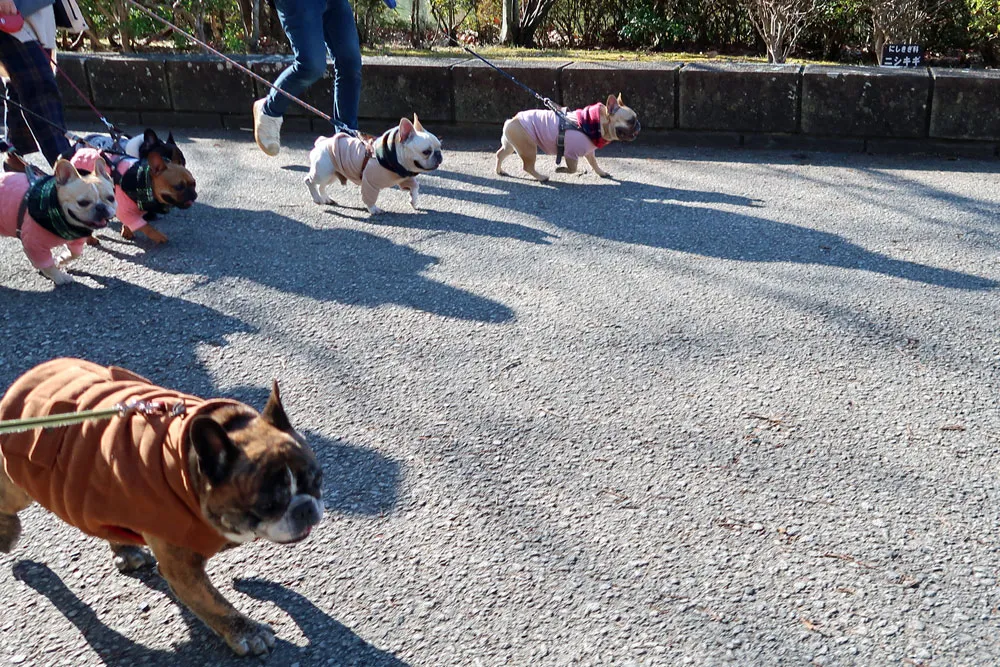 BUHI SNAP in SENDAI 台原森林公園