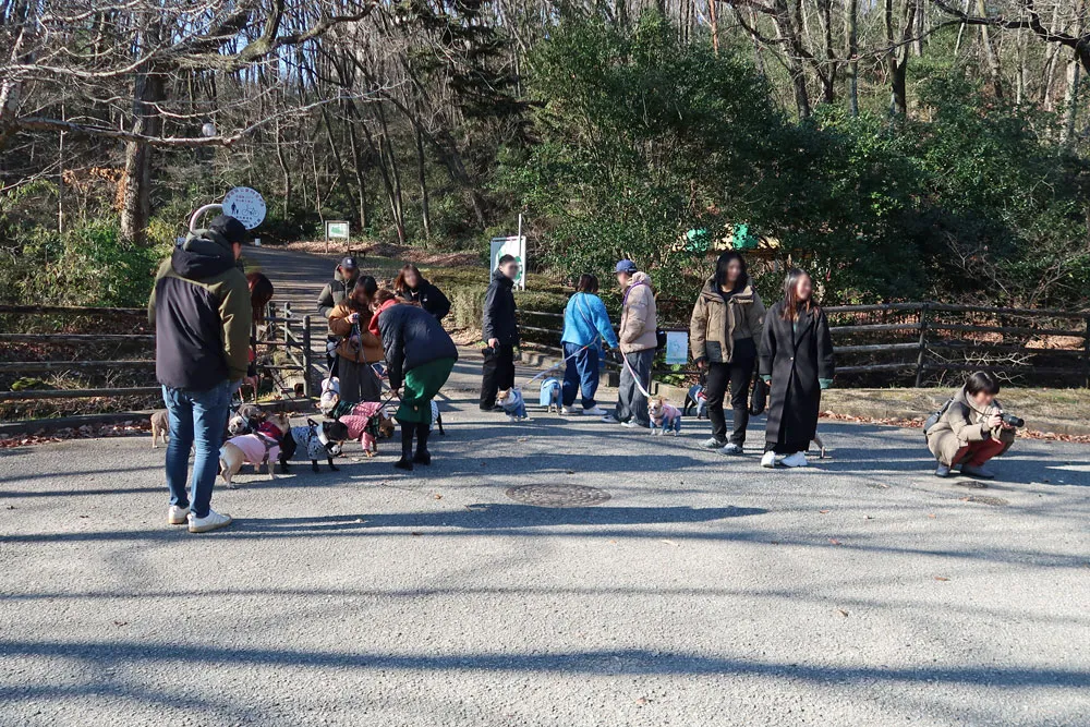 BUHI SNAP in SENDAI 台原森林公園