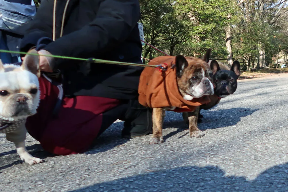 BUHI SNAP in SENDAI 台原森林公園