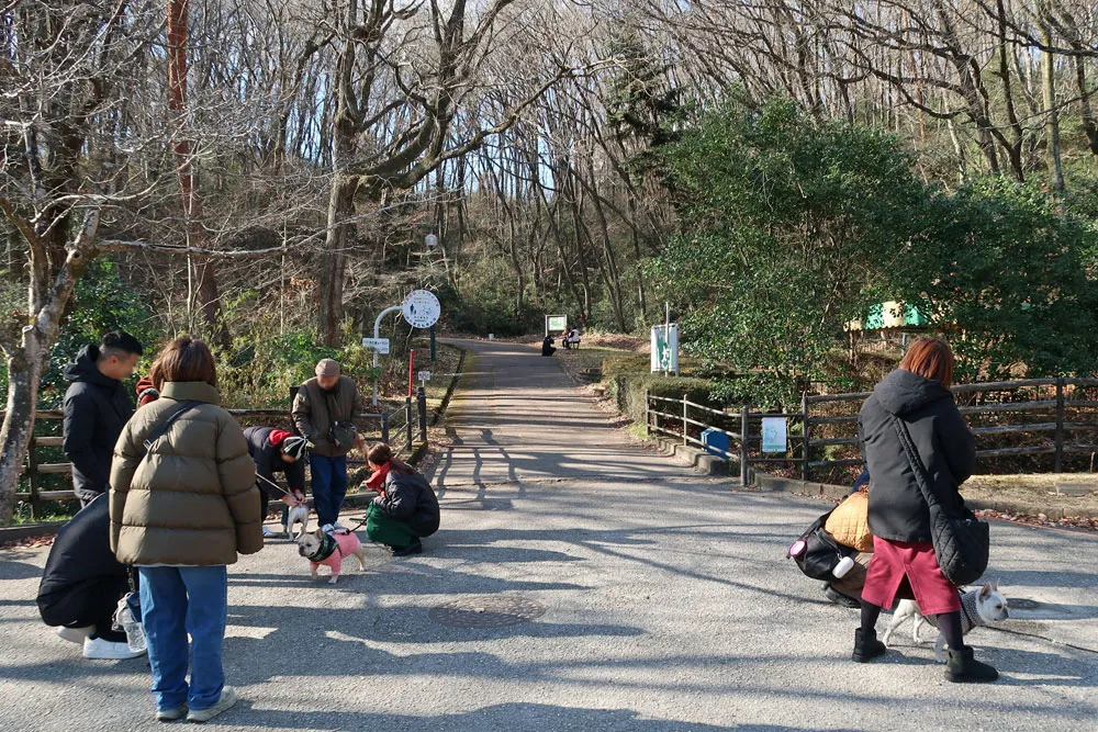 BUHI SNAP in SENDAI 台原森林公園