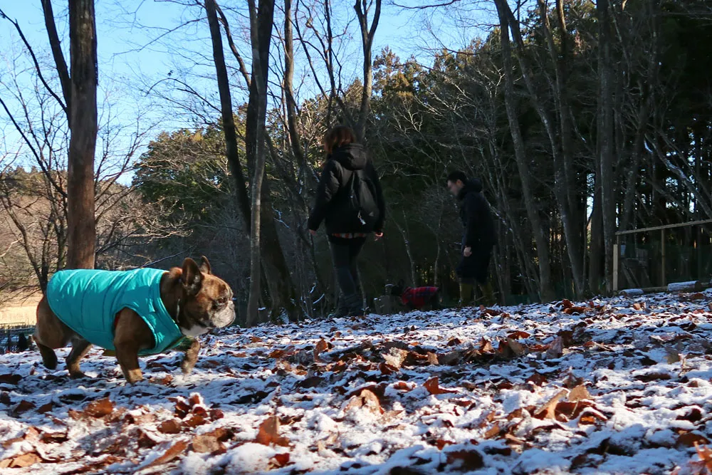 里山ドッグランサムでラン納め