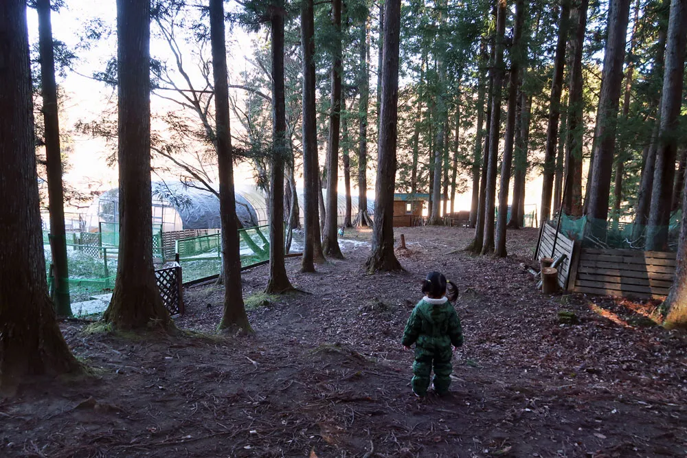 里山ドッグランサムでラン納め