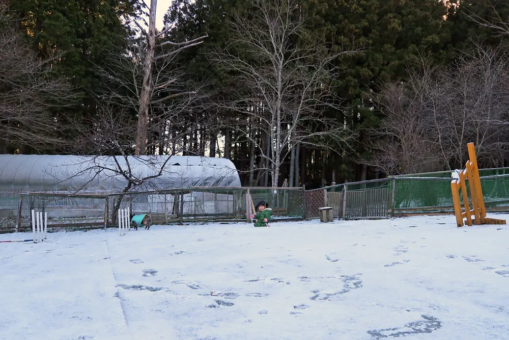 里山ドッグランサムでラン納め